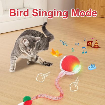 2 Packs Speed 2.0 Tail Interactive Cat Toys for Indoor Cats, Chirping & Motion Activate Cat Toy, Smart Kitten Rolling Ball Moving Ball Toys, Rechargeable Dog Cats Bal L for Enrichment Exercise7