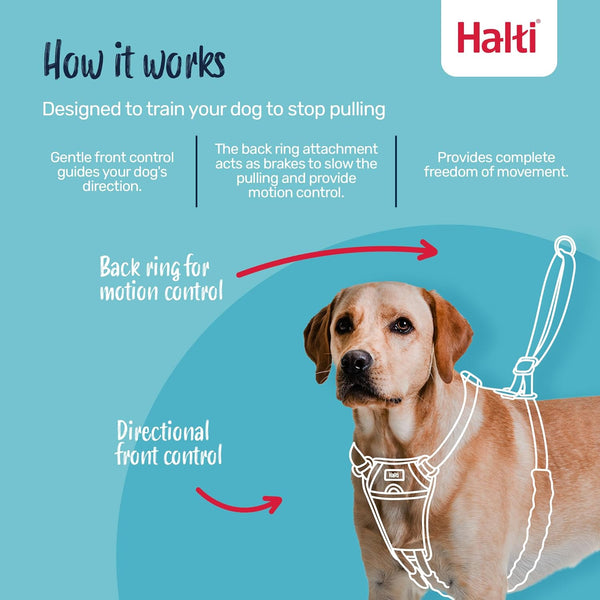 Halti No Pull Harness (Size Medium) & Training Leash (Size Large, Black) | Bundle | Stop Your Dog Pulling on the Leash | Adjustable, Lightweight and Easy to Use | Suitable for Medium Dogs2