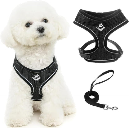 PUPTECK Soft Mesh Dog Harness Small Sized and Leash Set Pet Puppy Cat Comfort Padded Vest No Pull Harnesses, Beige, S32