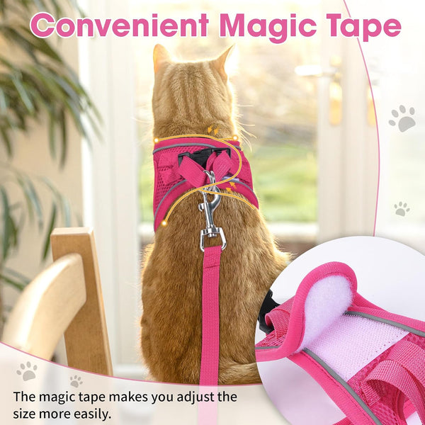 Cat Vest Harness and Leash Set, Escape Proof Kitten Harness Pink XS | Safe Reflective Strips, Adjustable Easy Wear Kitty Harness, Sturdy Clip Buckle, Breathable Mesh , for Kitty Puppy Bunny Walks5