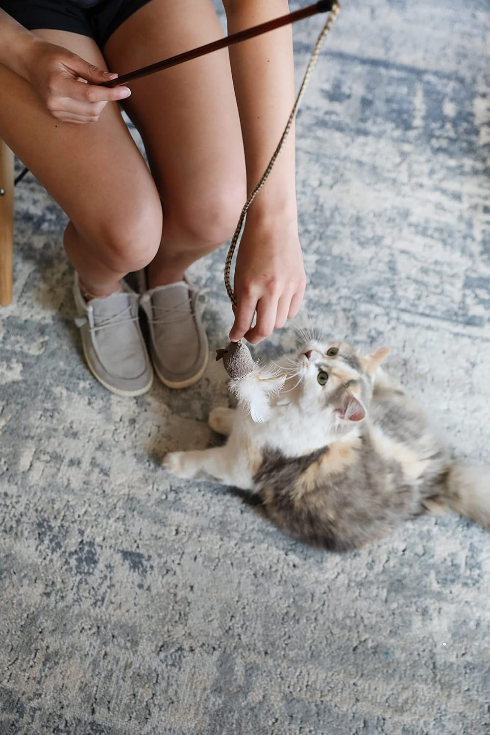 ourpets-play-n-squeak-teathered-feathered-play-wand-cat-toy-for-all-breed-sizes