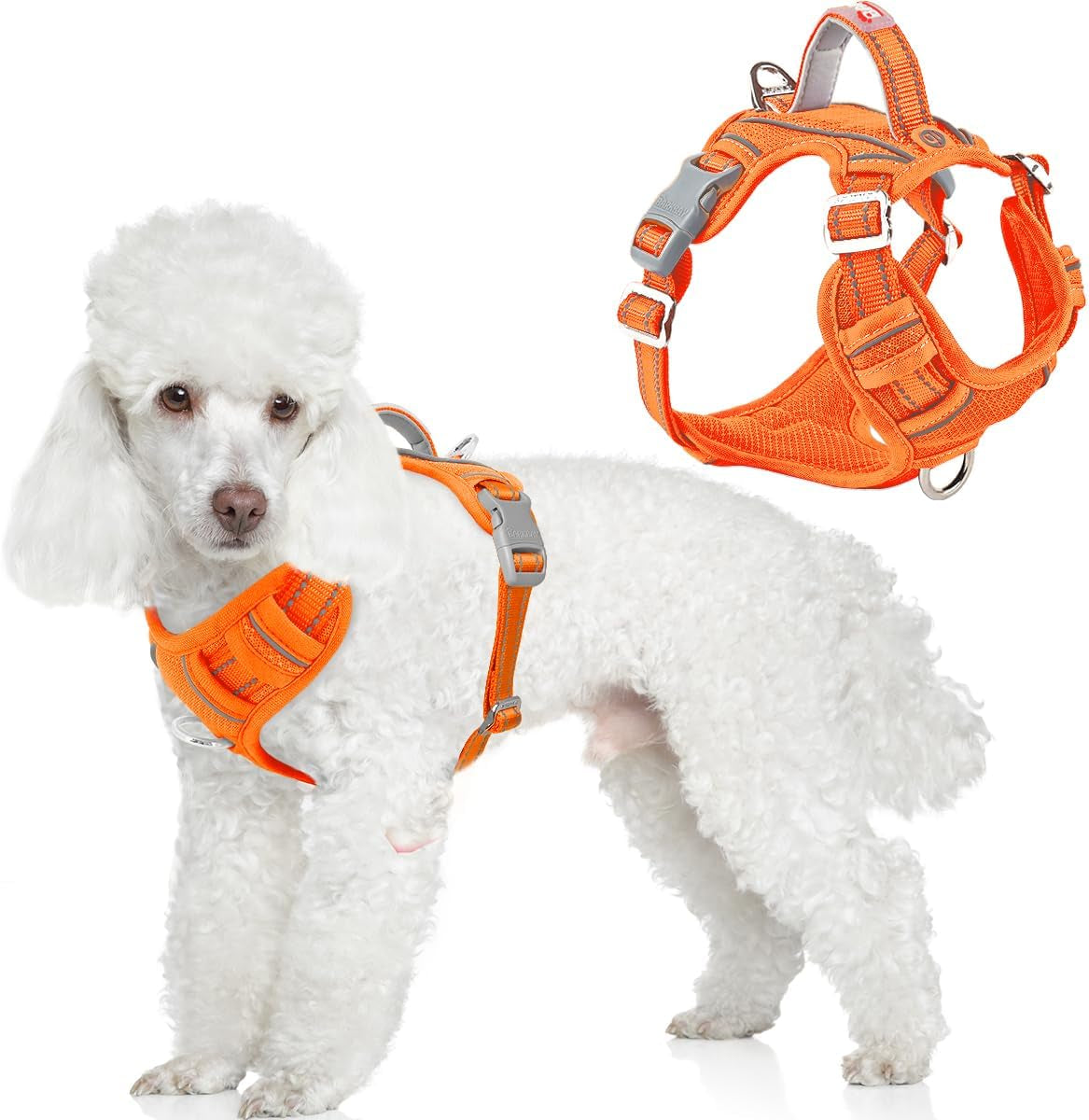 barkbay-dog-harness-no-pull-with-id-tag-pocket-heavy-duty-reflective-easy-control-for-large-dogsblue-l