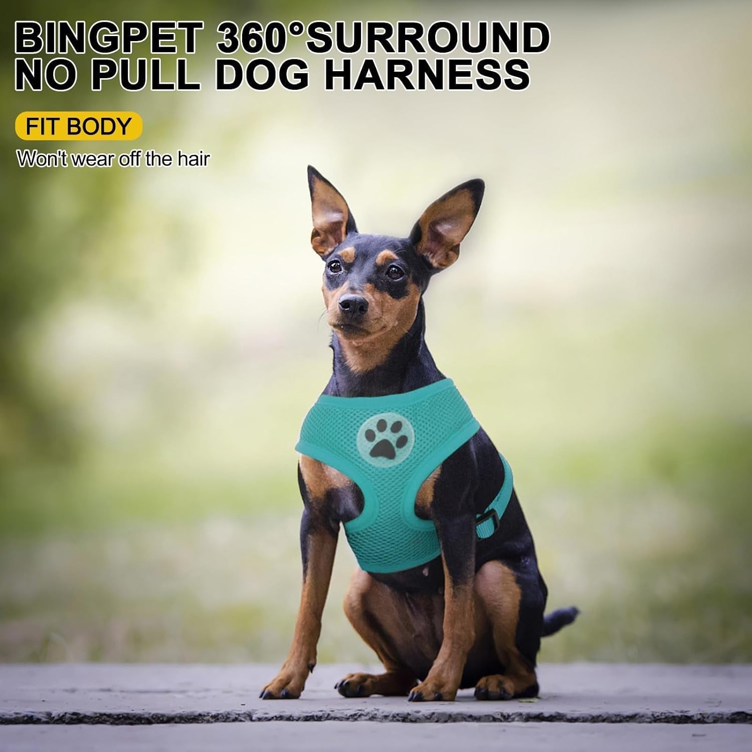 bingpet-small-dog-harness-no-pull-dog-harness-small-sized-dogs-soft-light-breathable-mesh-puppy-vest-with-safety-buckle-adjustable-step-in-pet-harnesses-for-easy-walking-running-training