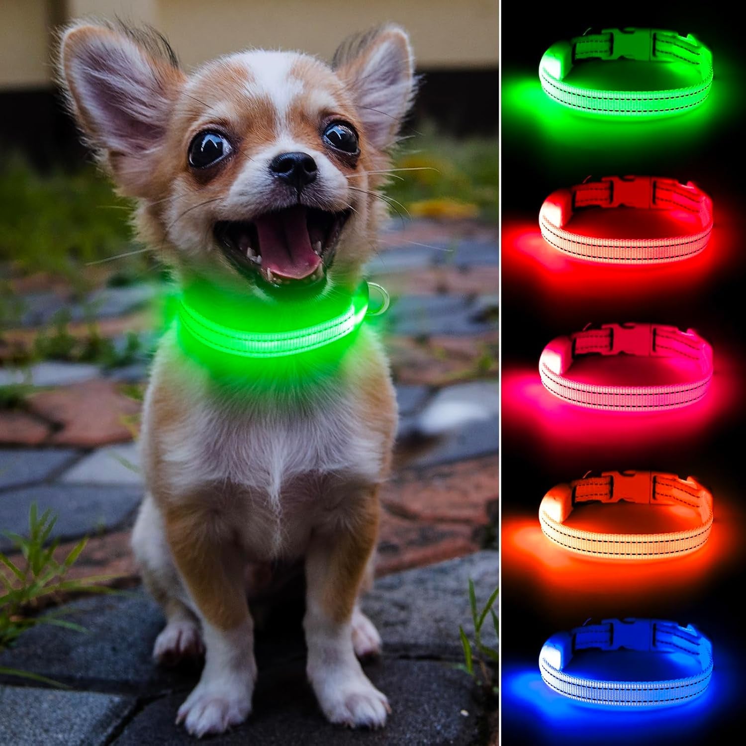 light-up-dog-collar-for-small-dogs-cats-reflective-led-dog-collar-rechargeable-glowing-puppy-collar-safety-dog-lights-for-night-walking-royal-blue