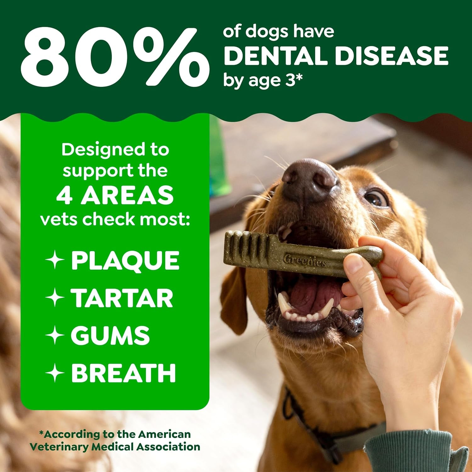 greenies-regular-natural-dental-dog-treats-fresh-mint-flavor-12-count-for-dogs-25-50-lbs-clinically-proven-47-less-tartar-40-less-plaque-in-28-days-cleans-to-gumline-12-oz-pack