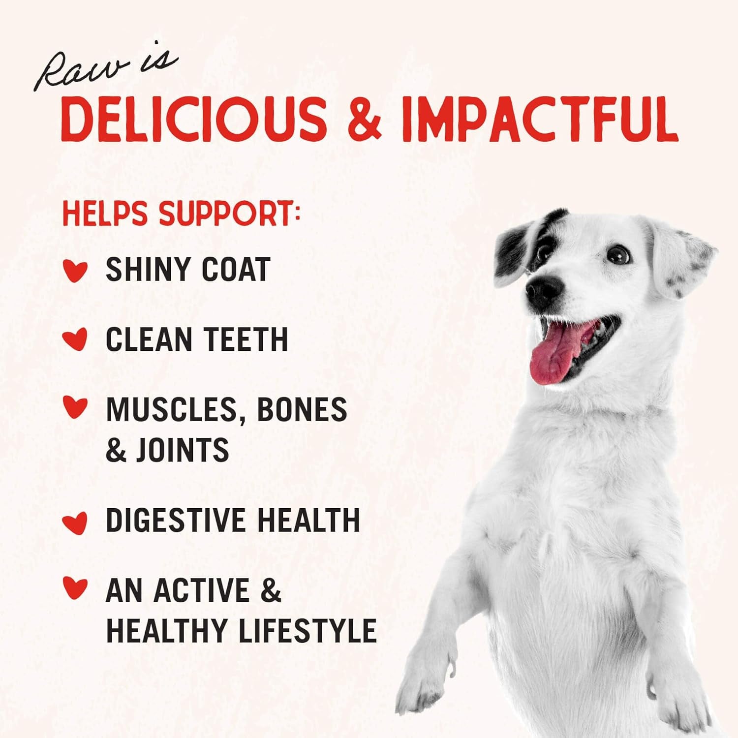 stella-chewys-freeze-dried-raw-chicken-breast-dog-treats-single-ingredient-no-additives-premium-training-treats-perfect-for-picky-eaters-2-75oz-bag