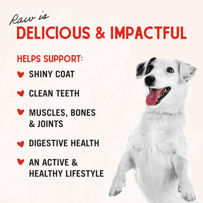 Stella & Chewy'S Freeze-Dried Raw Chicken Breast Dog Treats - Single Ingredient, No Additives - Premium Training Treats - Perfect for Picky Eaters - 2.75Oz Bag5