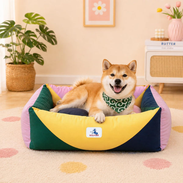Cotton Canvas Dog Bed (290Gsm Thick), 24"X20"X8" Durable Waterproof | Cute Dog Beds for Small Dogs, Orthopedic Bed with Washable Removable Cover, Anti-Chewing Pet Bed Anti-Slip Black&White8