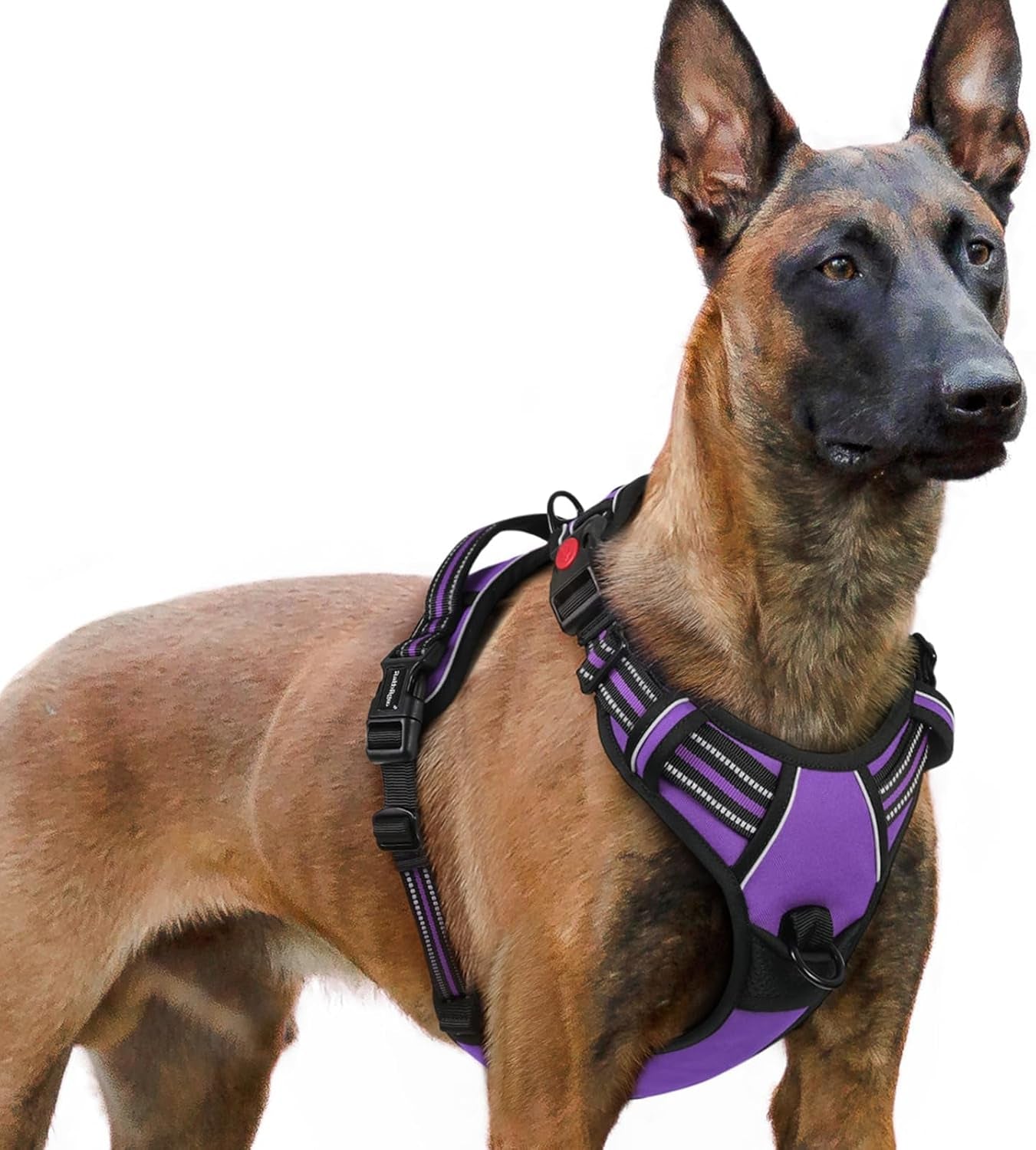 rabbitgoo-dog-harness-medium-sized-updated-easy-on-off-with-3-buckles-no-pull-no-choke-walking-with-2-clips-and-handle-adjustable-soft-reflective-blue-medium
