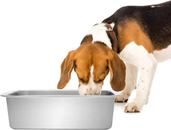 Kichwit 1.8 Gallons Large Dog Bowl, Stainless Steel Pan | Food Grade, Dishwasher Safe11