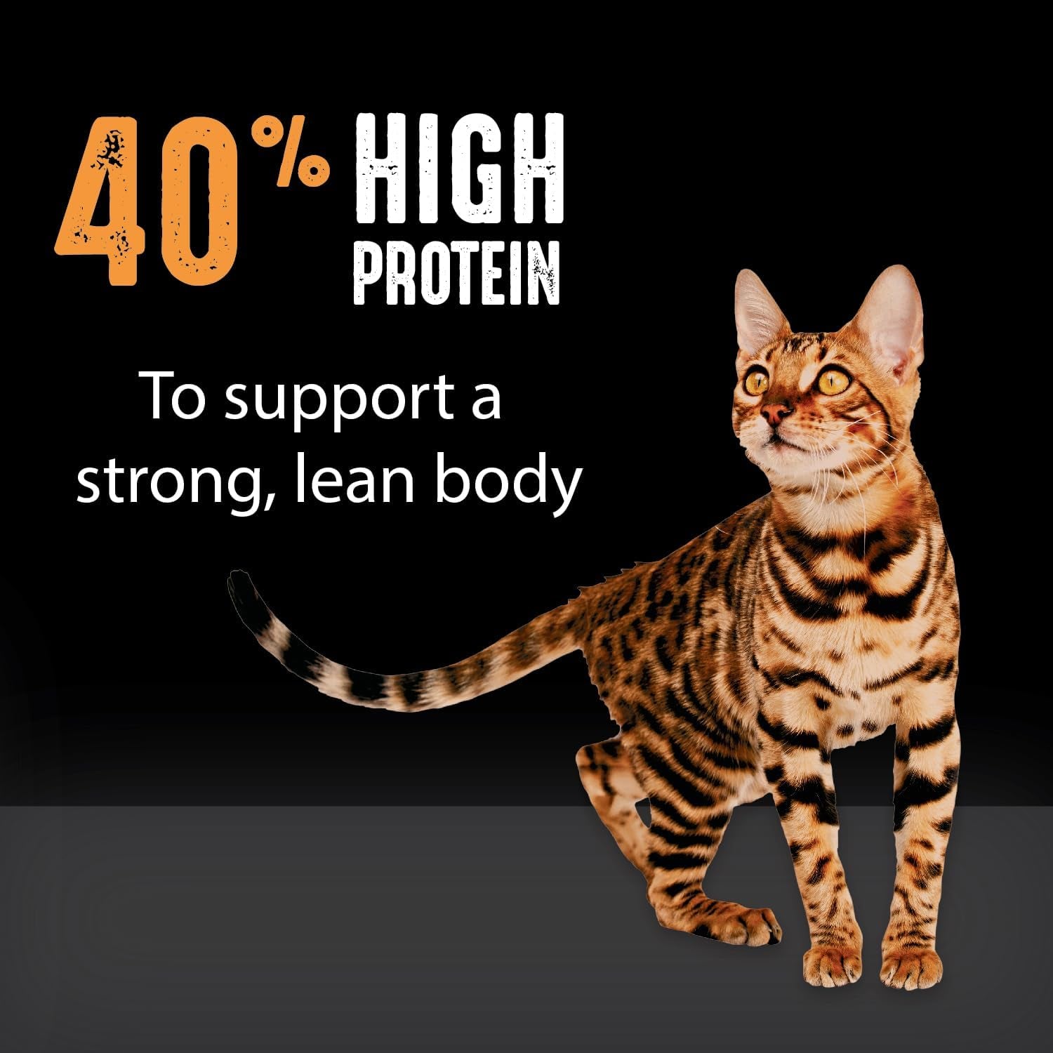crave-grain-free-high-protein-natural-adult-dry-cat-food-chicken-4-lb-real-chicken-1-ingredient-40-protein-no-chicken-by-product-meal-no-corn-wheat-or-soy-complete-balanced