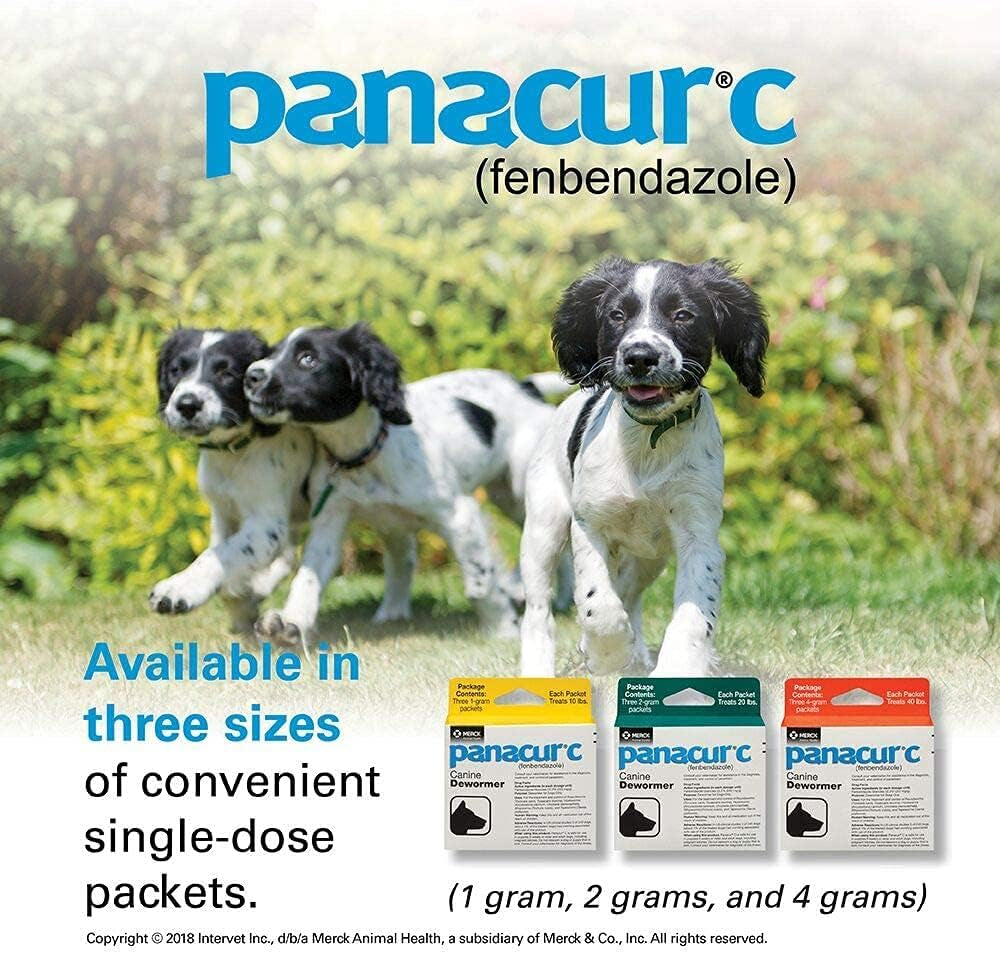 panacur-c-canine-dewormer-dogs-1-3-packets-gram-each-packet-treats-10-lbs-fivе-расk-yellow