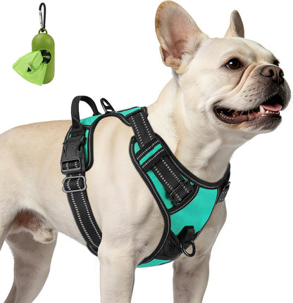 Joytale No Pull Dog Harness Medium Sized Dog, Front Clip, Black | Grab Handle for Instant Control, Padded & Adjustable Vest, Sturdy Metal D-Rings, for Safe Training & Daily Walking48