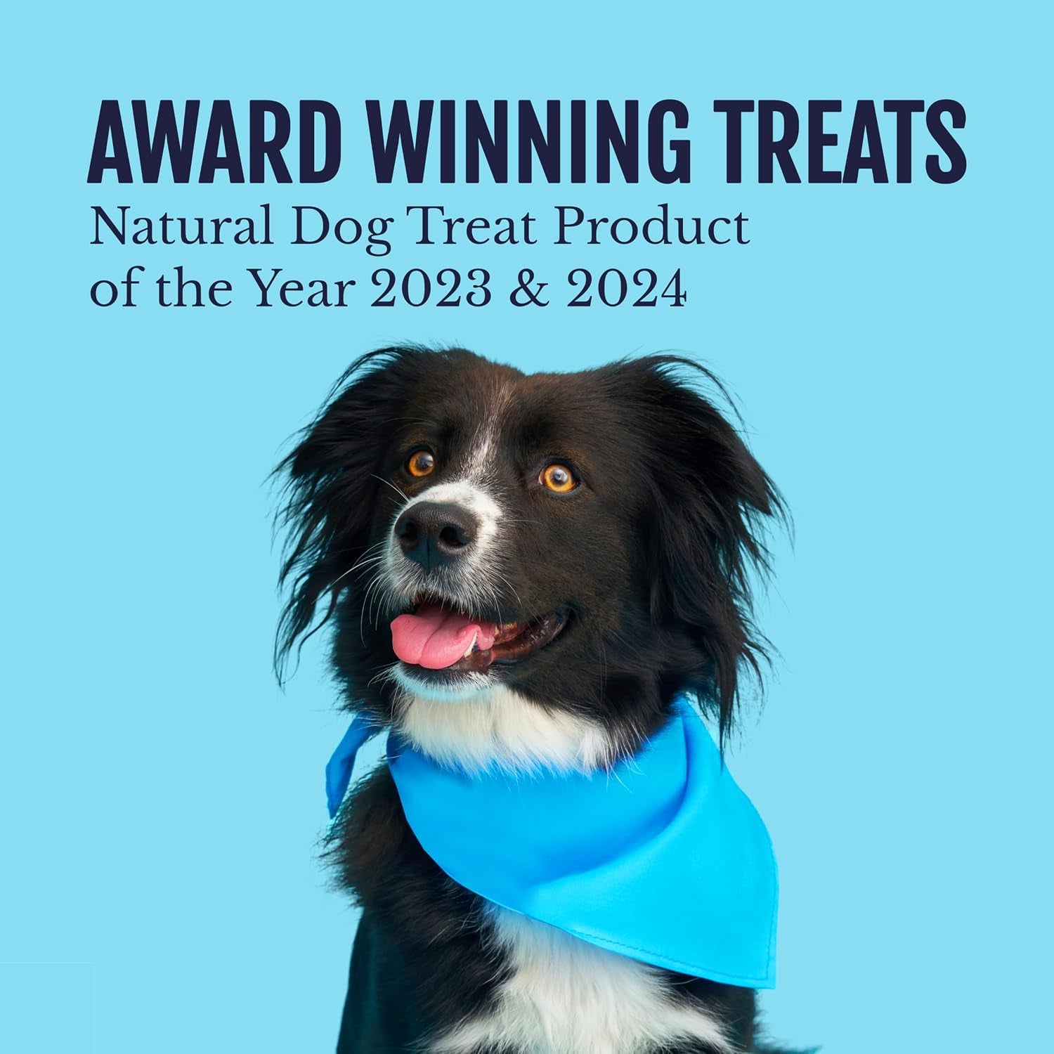 snif-snax-salmon-bites-dog-treats-3-pack-all-natural-human-grade-training-treats-for-dogs-healthy-grain-free-puppy-adult-rewards-protein-rich-soft-salmon-snacks