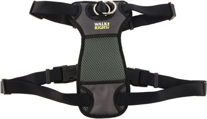Coastal Pet Walk Right Front-Connect No-Pull Padded Dog Harness - Adjustable & Comfortable Dog Harness - Small & Large Breed Fit - Quality Pet Supplies - Black, LRG (26"-38")14