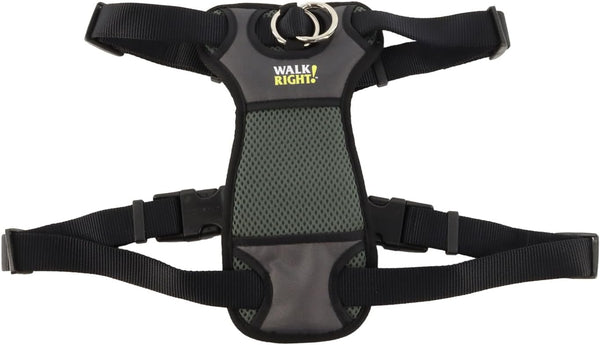 Coastal Pet Walk Right Front-Connect No-Pull Padded Dog Harness - Adjustable & Comfortable Dog Harness - Small & Large Breed Fit - Quality Pet Supplies - Black, LRG (26"-38")14