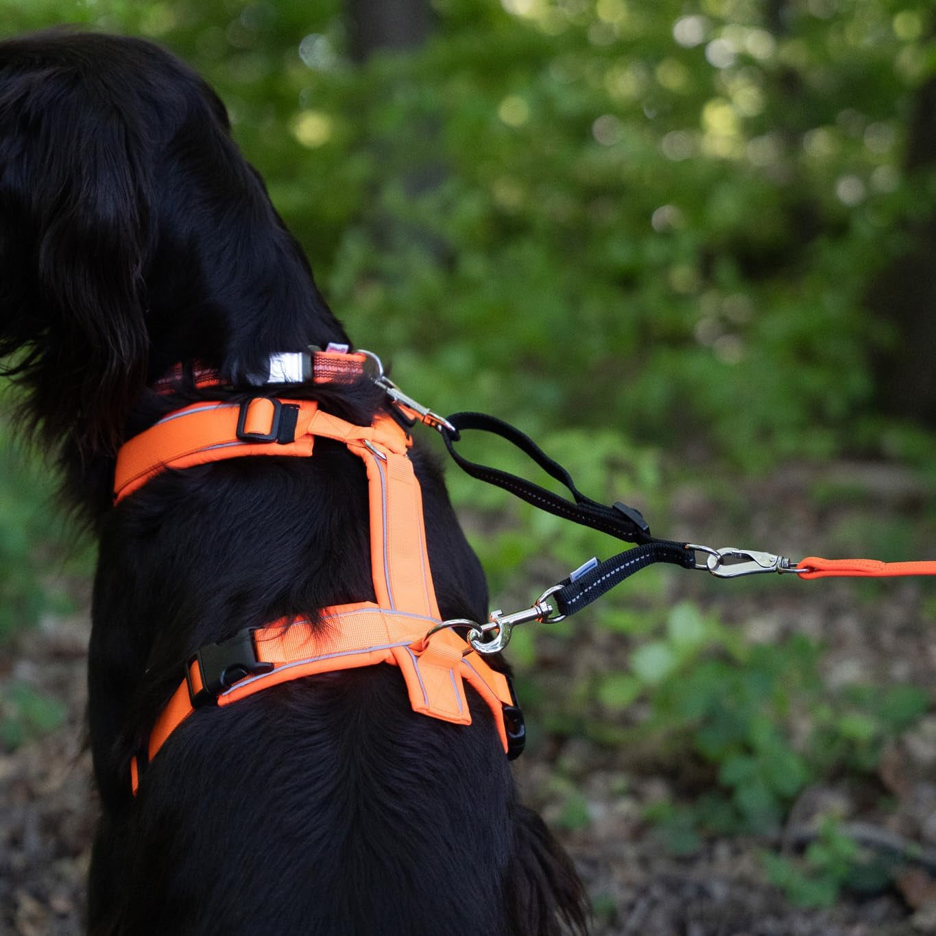 herm-sprenger-adjustable-coupling-strap-reflective-nylon-2-way-dog-leash-coupler-with-nickel-plated-swivel-clip-safety-backup-strap-for-prong-flat-collars-red