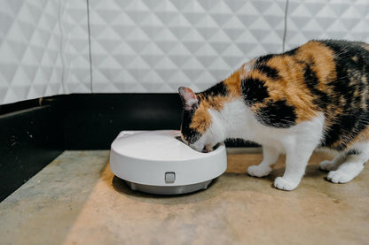 Cat Mate C500 Automatic Pet Feeder with Digital Timer for Cats and Small Dogs2