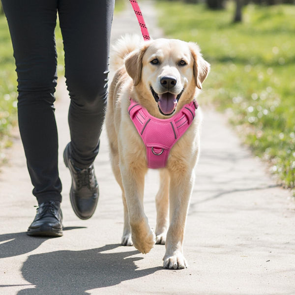 BARKBAY No Pull Dog Harness Large Reflective Dog Harness with Front Clip and Easy Control Handle for Walking Training Running with ID Tag Pocket(Pink,L)9