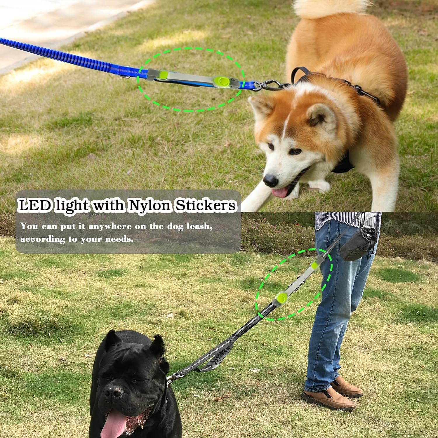 heavy-duty-dog-leash-and-led-light-set-led-light-with-nylon-stickers-universal-glowing-accessories-easy-to-attach-collar-leash-and-harness-safety-led-light-up-band-for-dogs-at-night-walking