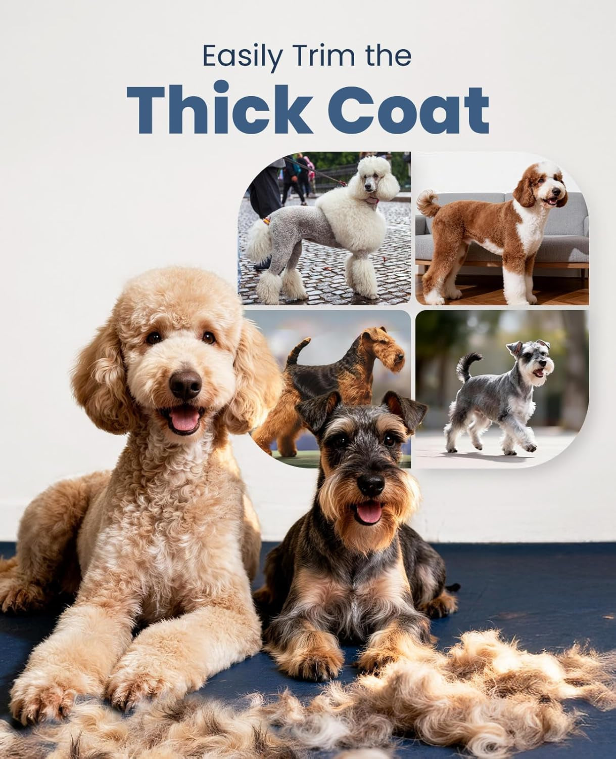 oneisall-dog-clippers-for-grooming-thick-heavy-coats-low-noise-rechargeable-cordless-detachable-stainless-steel-blade-ipx7-waterproof-10-guide-combs-for-thick-double-curly-hair