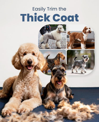 Oneisall Dog Clippers for Grooming Thick Heavy Coats | Low Noise,Rechargeable Cordless,Detachable Stainless Steel Blade,Ipx7 Waterproof,10 Guide Combs,For Thick/Double/Curly Hair7