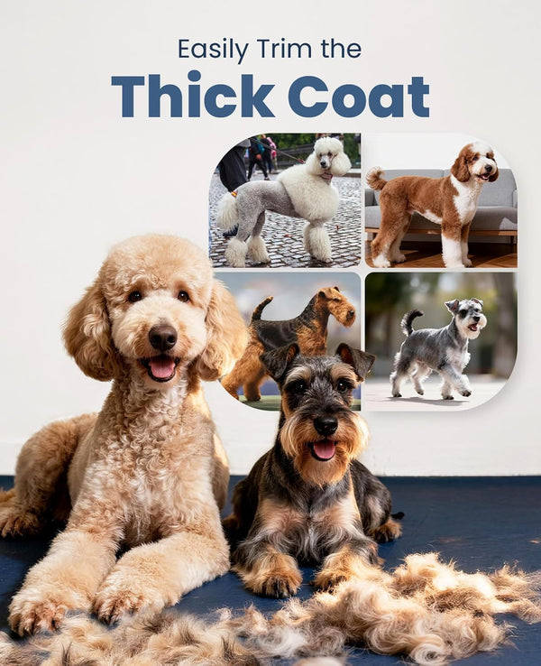 Oneisall Dog Clippers for Grooming Thick Heavy Coats | Low Noise,Rechargeable Cordless,Detachable Stainless Steel Blade,Ipx7 Waterproof,10 Guide Combs,For Thick/Double/Curly Hair7
