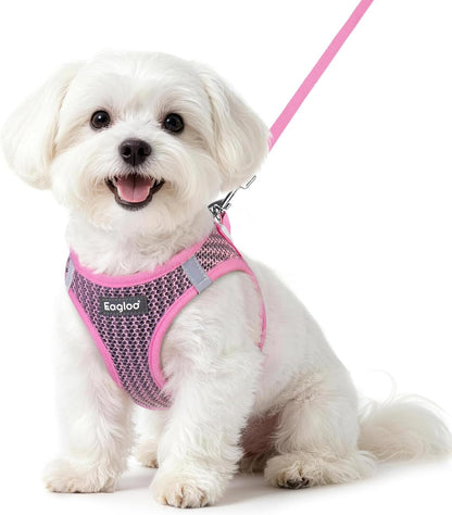 Eagloo Small Dog Harness and Leash Set, Step in Small Sized Puppy Pet Vest | Light, Soft, Breathable Air Mesh, Easy on and off with Hook & Loop, Reflective for Safe Walking, Pink, S1