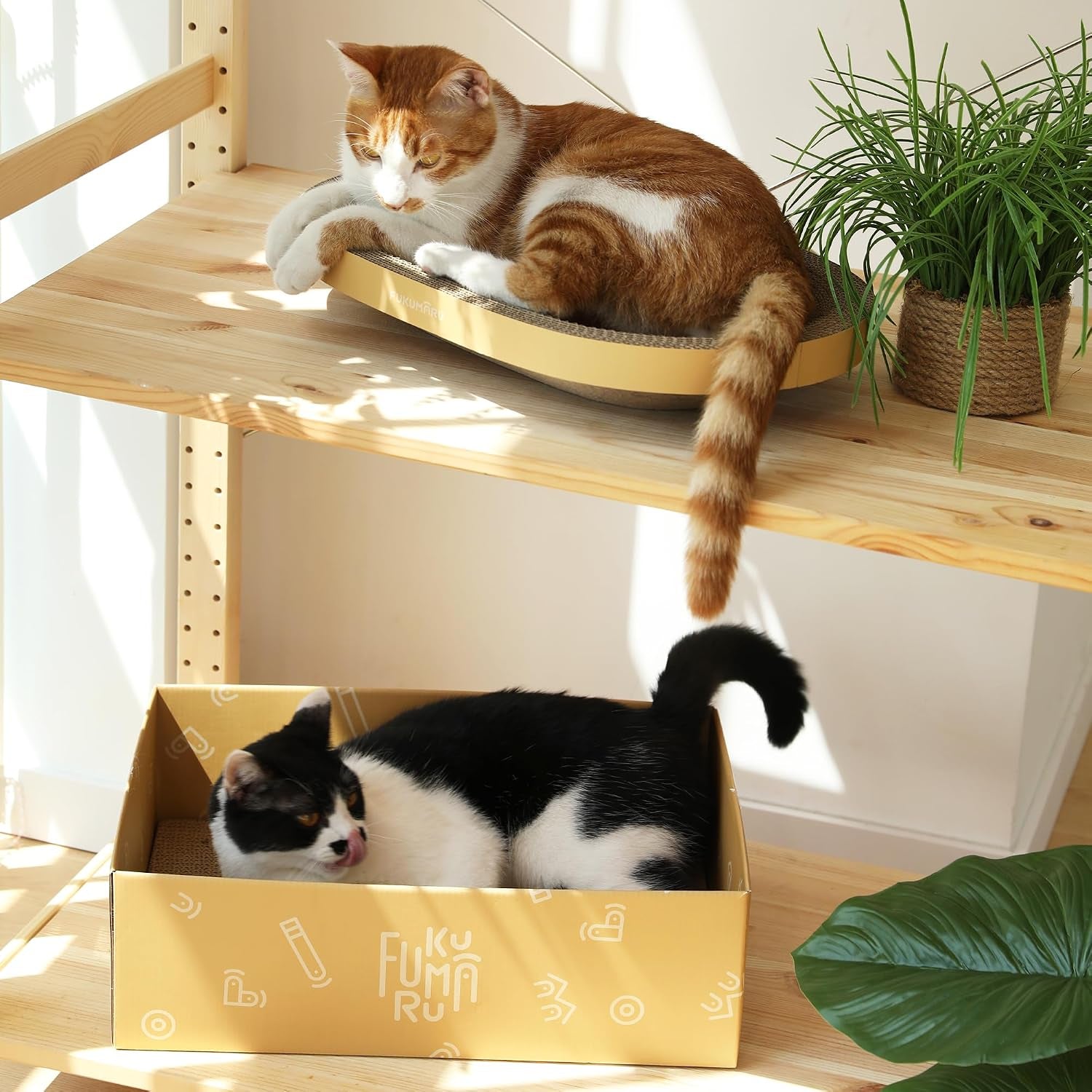 fukumaru-3pcs-cardboard-cat-scratcher-bed-durable-oval-cat-scratch-pads-round-cats-scratching-board-set-large-scratcher-box-for-indoor-cats-kitten-scratcher-bowl-couch-sofa-furniture-protector