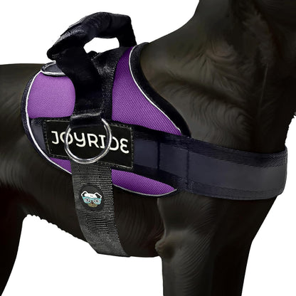 Joyride Dog Harness 2.0 | No-Pull | Blue 2.0 | M | Reflective No-Choke Quick-Fit Vest with 3 Leash Clips and Escape-Resistant Design for Easier Walks and Training20