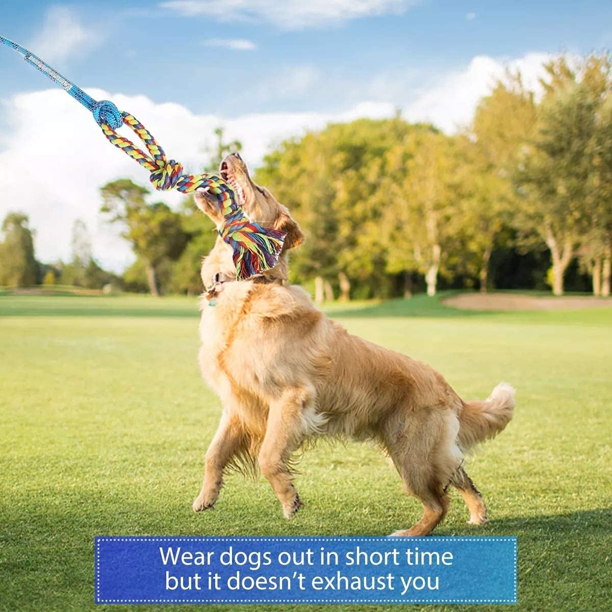 flirt-pole-for-dogs-interactive-chase-toy-for-large-medium-small-puppy-dogs-for-chase-and-tug-of-war-dog-teaser-wand-with-lure-chewing-toy-for-outdoor-exercise-training-easy-to-use-carry-sturdy