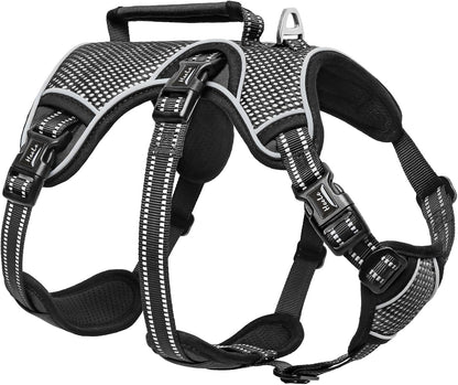 HEELE Dog Harness, Escape Proof Dog Harness, Release on Neck, No Pull Reflective Adjustable Vest with Durable Handle, Dog Harness for Outdoor Training Walking, Dog Harness for Large/Active Dogs, L1