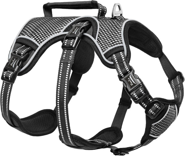 HEELE Dog Harness, Escape Proof Dog Harness, Release on Neck, No Pull Reflective Adjustable Vest with Durable Handle, Dog Harness for Outdoor Training Walking, Dog Harness for Large/Active Dogs, L1