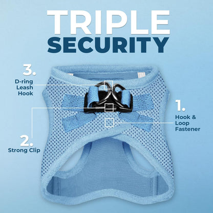Best Pet Supplies Voyager Step-In Air All Weather Mesh Harness and Reflective Dog 5Ft Leash Combo with Neoprene Handle, for Small, Medium and Large Breed Puppies - Baby Blue, Small2