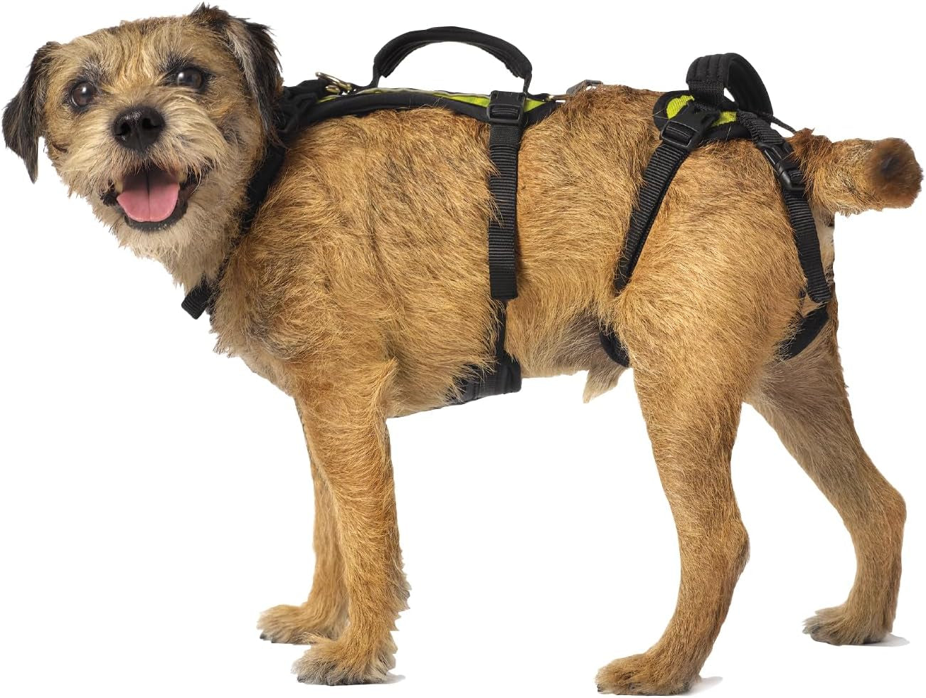 help-em-up®-dog-lift-harness-adjustable-lifting-harness-for-dogs-full-body-support-rear-leg-support-conventional-medium-45-80-lbs