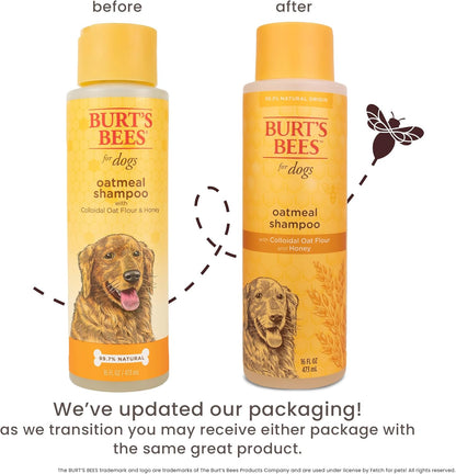 Burts Bees for Pets Oatmeal Dog Shampoo with Honey, Unscented, 16 Fl Oz | Soothing Colloidal Oat Flour Formula for Itchy, Sensitive Dog Skin; Ph-Balanced and Sulfate-Free for Regular Use2