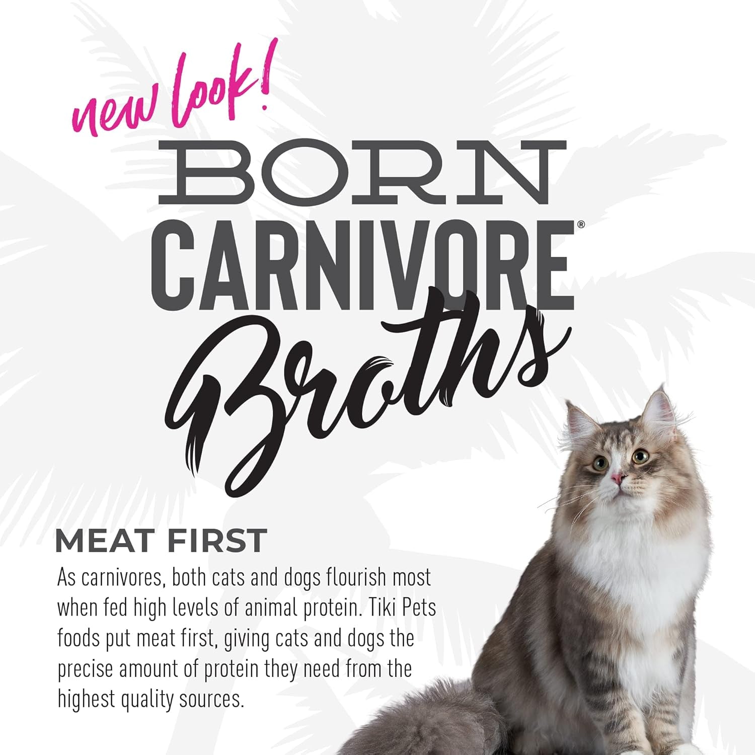 tiki-cat-born-carnivore-broths-wet-cat-food-toppers-variety-pack-1-3-oz-pouch-12-count