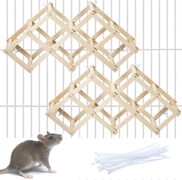 Kiln-Dried Wood Rat Climb Toy, Hanging Cage Ladder Activity (M, 1Pc) | Natural Rat Cage Bridge, Multiple Openings & Directional Ramps Offer Challenges to Satisfy Rats' Instincts for Explore & Play7