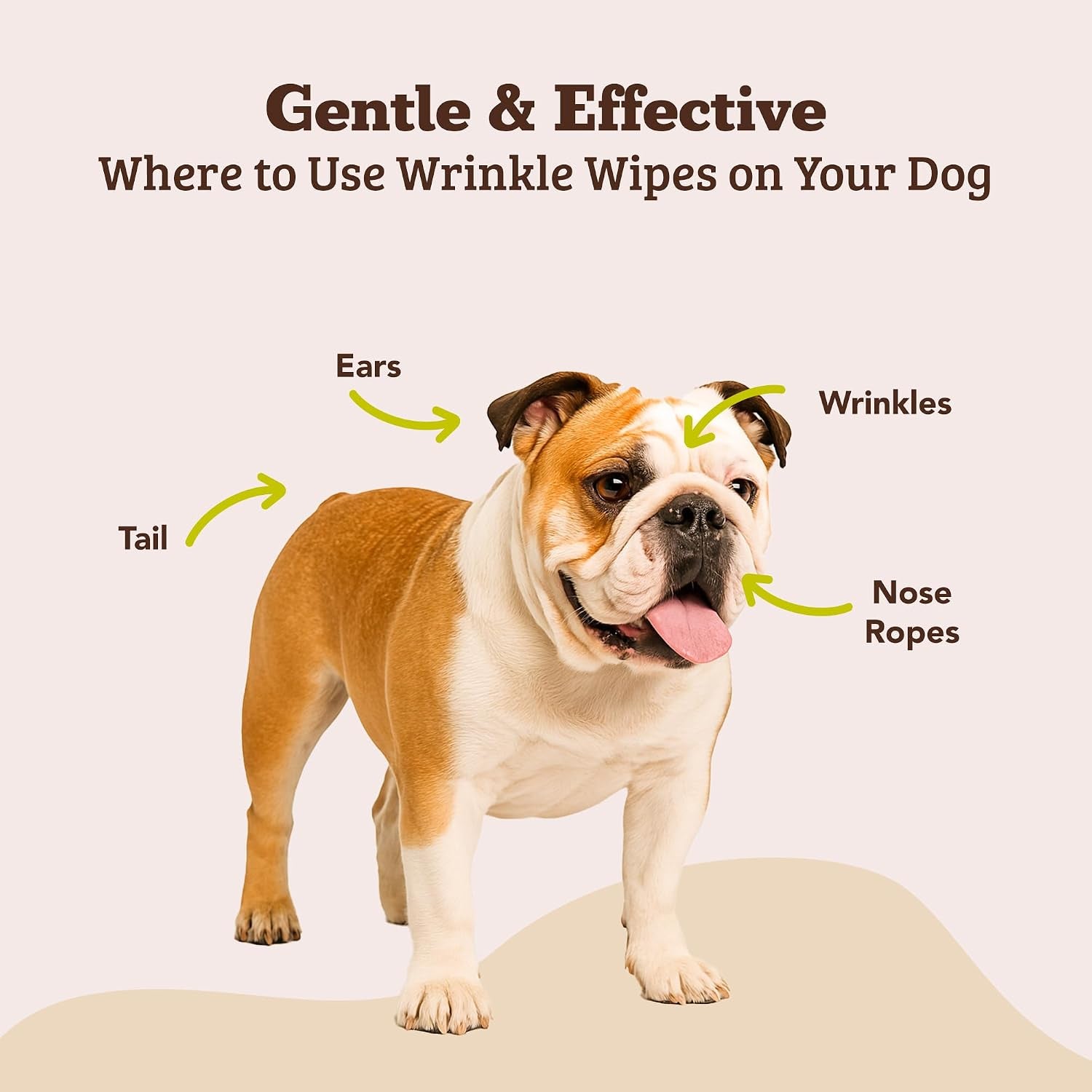 natural-dog-company-wrinkle-wipes-for-dogs-100-count-hypoallergenic-cleaning-deodorizing-for-grooming-faces-paws-butts