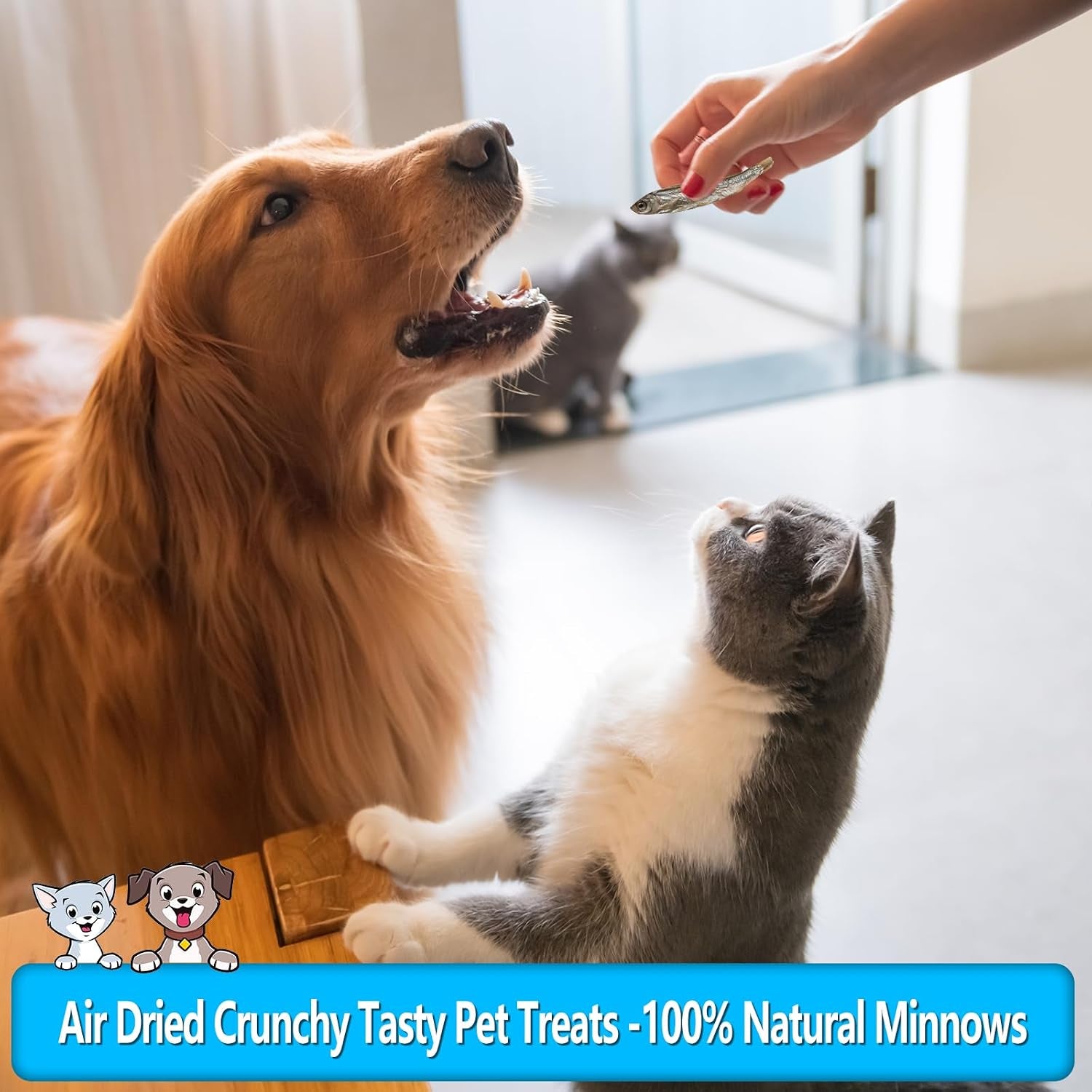 minnows-dog-treats-single-ingredient-dried-minnows-for-dogs-cats-air-dried-grain-free-high-protein-100-natural-premium-cat-dog-treats-4-5-oz