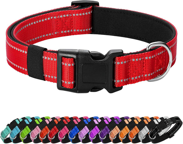 Reflective Dog Collar Padded with Soft Neoprene Breathable Quick Release Basic Dog Collars for Medium Dogs Purple Girl17