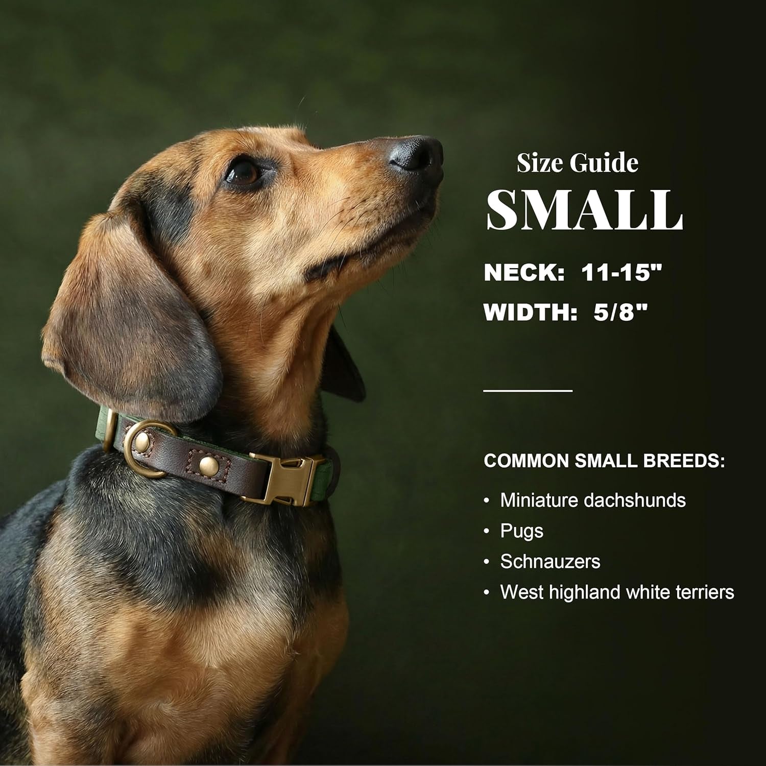 didog-pu-leather-dog-collar-for-small-dogs-puppy-soft-lining-green-s-all-day-comfort-for-daily-walks-and-backyard-play-quick-release-metal-buckle-for-easy-on-off-d-ring-for-leash-easy-clean
