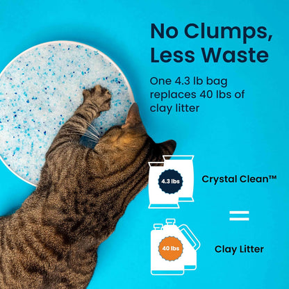 Crystal Clean Premium Fresh Scent Crystal Cat Litter with Odor Control (5X Faster), Best Lightweight, Non Clumping Kitty Litter to Absorb Urine, Dries Solid Waste (2X4.3 Lb Bags)3