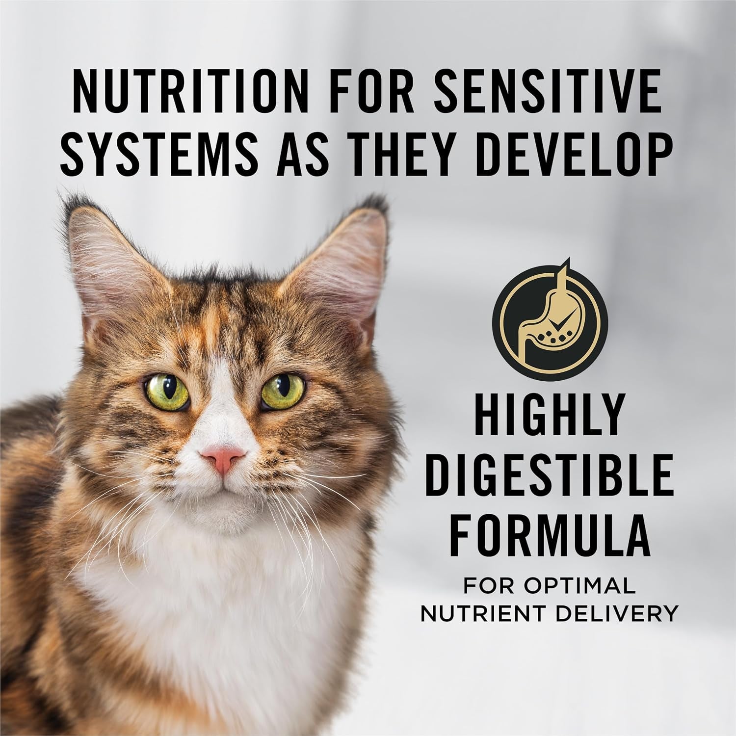 purina-pro-plan-sensitive-skin-and-stomach-senior-cat-food-salmon-and-rice-formula-3-5-lb