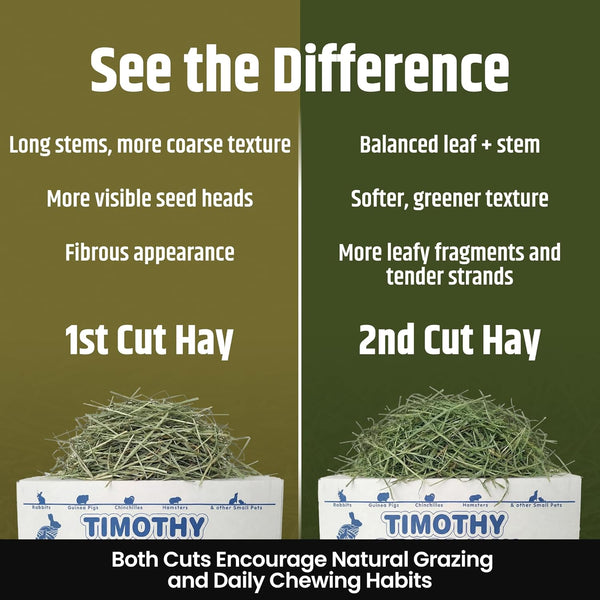 High Desert 2Nd Cutting Timothy Hay for Rabbits, Guinea Pigs, 4 Lb | Soft Leafy Texture with Balanced Fiber, Supports Healthy Digestion, Great for Chinchillas, Hand Packed in the USA, Low Dust3