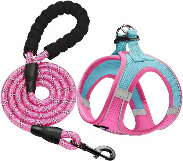 Haapaw Dog Harness with Leash Set, No Pull Adjustable Reflective Step-In Puppy Harness with Thickened Padded Vest for Extra-Small/Small Medium Dogs12