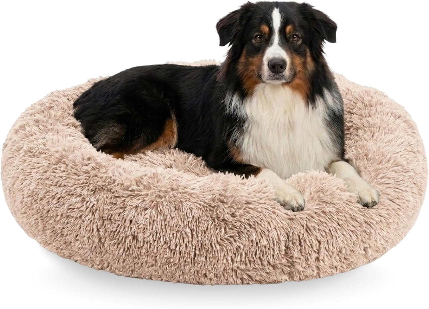 active-pets-premium-medium-donut-dog-bed-fits-up-to-45-lbs-machine-washable-cushion-plush-long-pile-faux-fur-fabric-portable-beige-pet-bed-furniture-for-puppies-adult-canines-cats