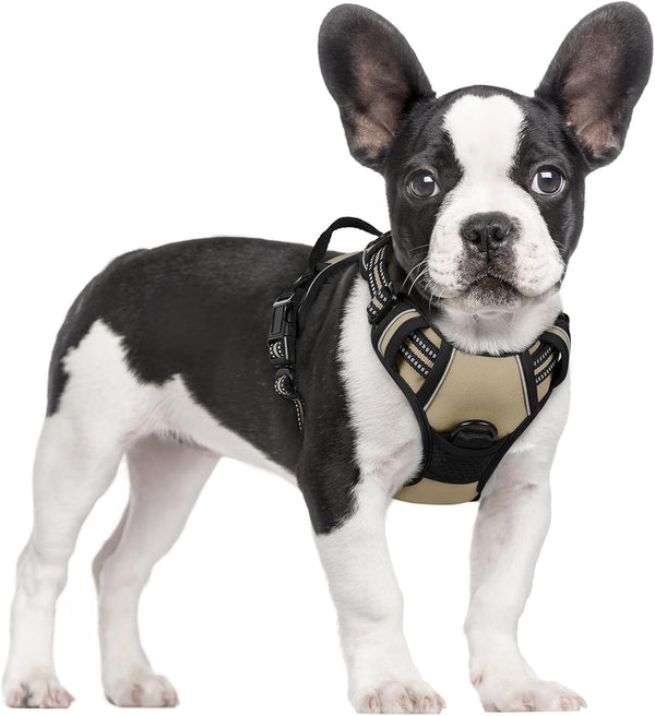 Rabbitgoo Dog Harness, No Pull for Large Dogs with 2 Leash Clips, Pet Vest | No Choke with Handle, Adjustable Soft Padded, Reflective, Easy Control for Walking, Black, Large53