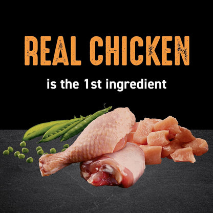 CRAVE Grain Free High Protein Natural Adult Dry Cat Food, Chicken, 10 Lb | 40% Protein, Real Chicken #1 Ingredient, All Natural Ingredients, No By-Product Meal, No Corn, Wheat, Soy, Supports Muscles3