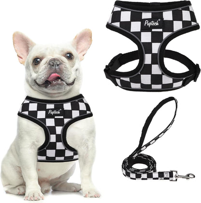 PUPTECK Soft Mesh Dog Harness Small Sized and Leash Set Pet Puppy Cat Comfort Padded Vest No Pull Harnesses, Beige, S63